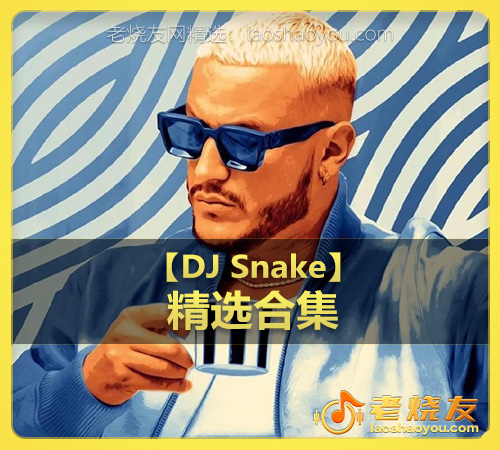 【DJ Snake】wav版